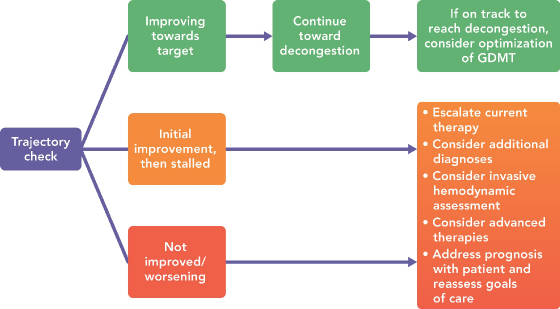 HFPatientResponsetoTherapyTrajectoryClinicalManagementFlowchartACC2019.jpg