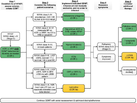 NYHAClassGuidedClinicalManagementAlgorithmACC2017.jpg